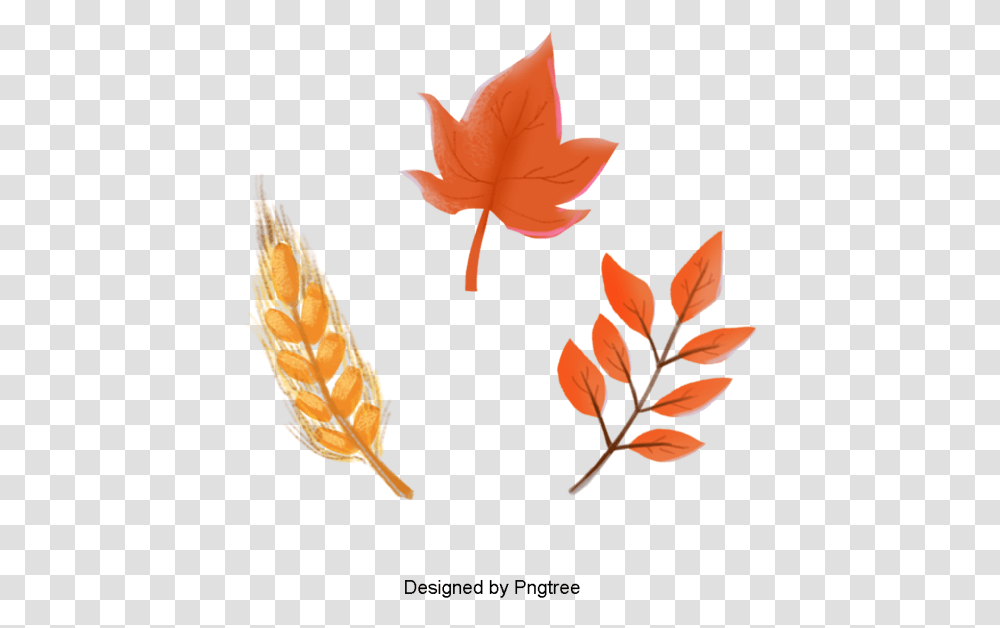 Cartoon Orange Leaf, Plant, Tree, Maple Leaf, Flower Transparent Png