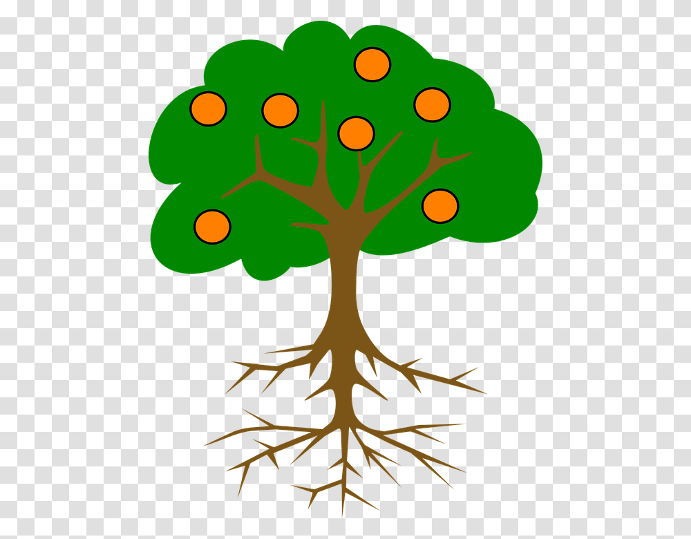 Cartoon Orange Tree Tree Drawing With Fruits, Plant, Root Transparent Png