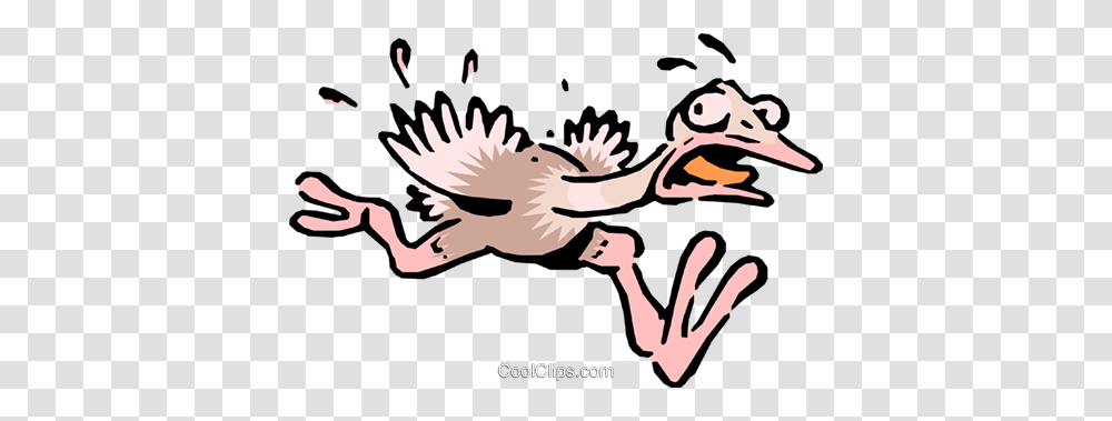 Cartoon Ostrich Royalty Free Vector Clip Art Illustration, Bird, Animal, Cupid Transparent Png