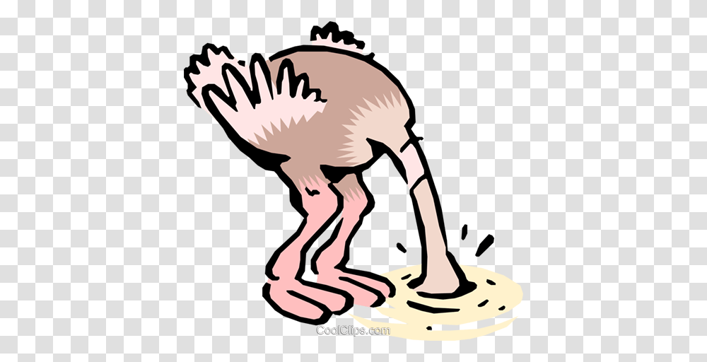 Cartoon Ostrich Royalty Free Vector Clip Art Illustration, Bird, Animal, Kiwi Bird, Turkey Bird Transparent Png