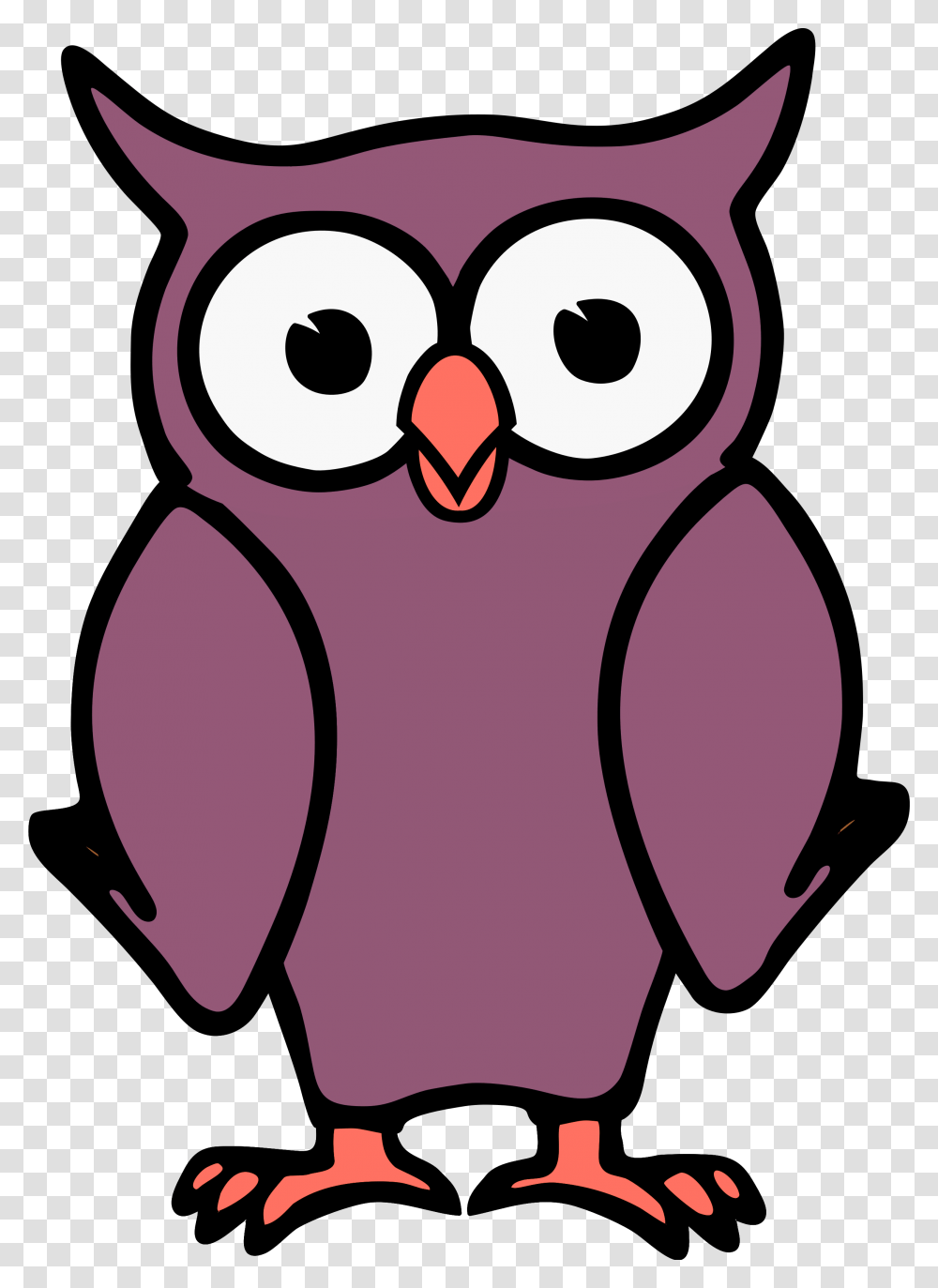 Cartoon Owl Clipart Background Cartoon Owl Background, Bird, Animal, Penguin, Photography Transparent Png