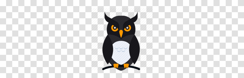 Cartoon Owl Clipart, Bird, Animal, Eagle, Penguin Transparent Png