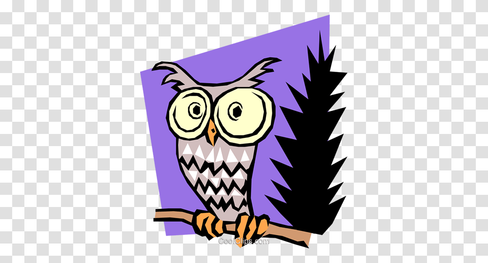 Cartoon Owl Royalty Free Vector Clip Art Illustration, Doodle, Drawing, Flyer Transparent Png