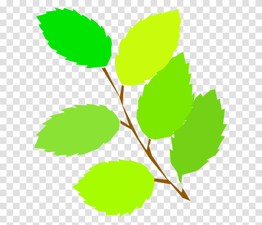 Cartoon Palm Tree Clip Art, Green, Leaf, Plant, Veins Transparent Png