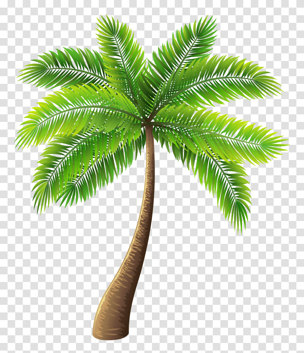 Cartoon Palm Tree Free Download Clip Art Palm Tree Background Transparent Png