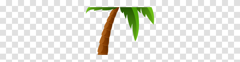 Cartoon Palm Tree Image, Plant, Leaf, Vegetation, Person Transparent Png