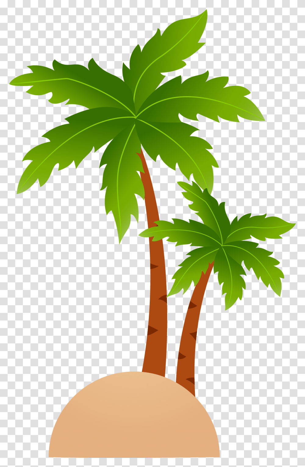 Cartoon Palm Tree Vector, Plant, Leaf, Arecaceae Transparent Png