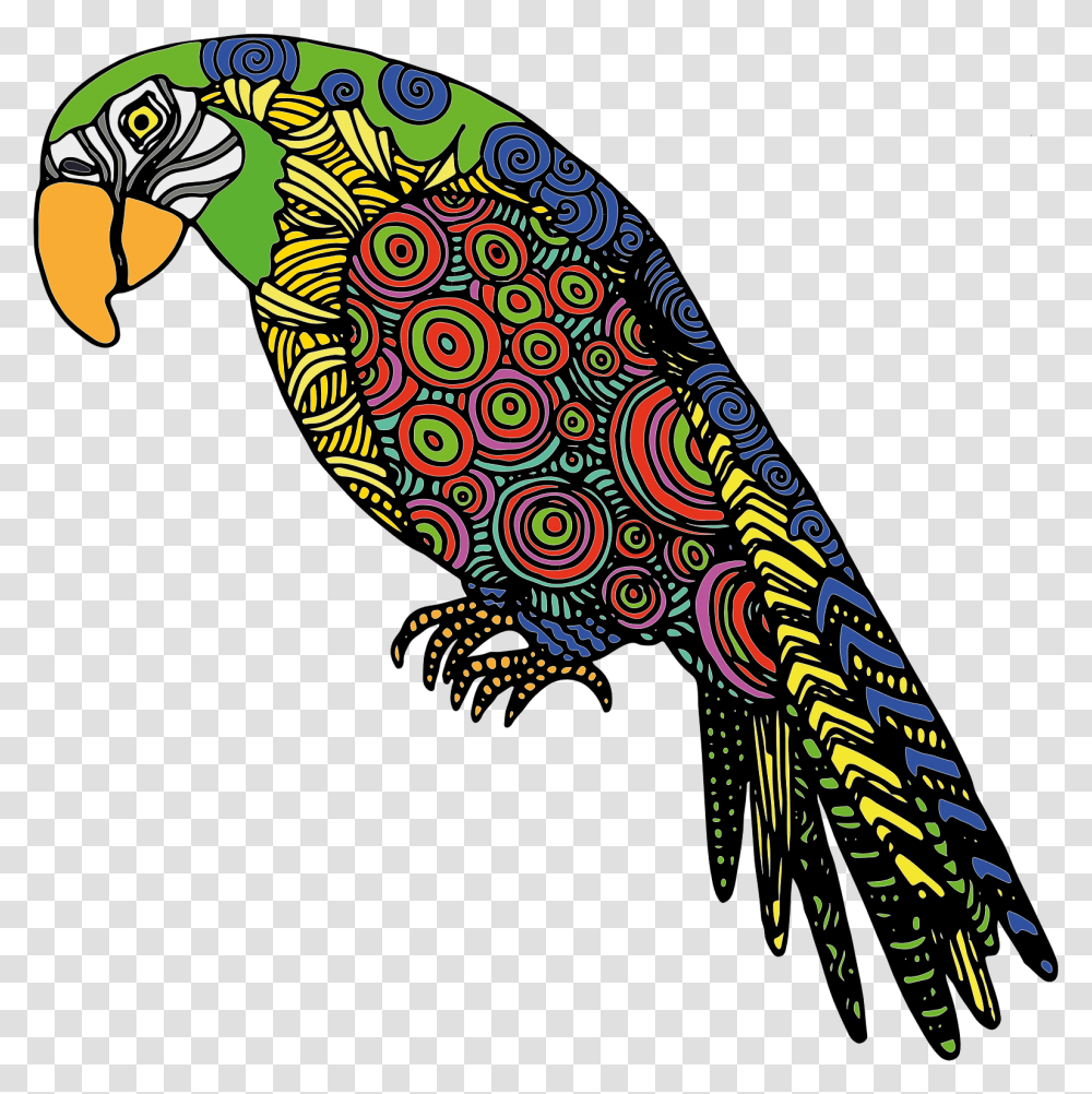 Cartoon Parrot Drawing Color, Bird, Animal, Peacock Transparent Png