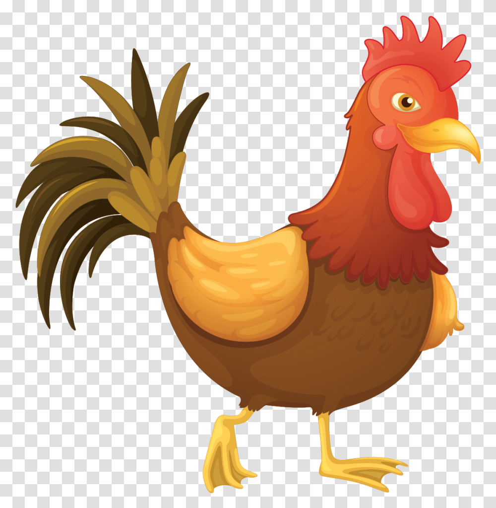 Cartoon Pics Of Cock, Chicken, Poultry, Fowl, Bird Transparent Png