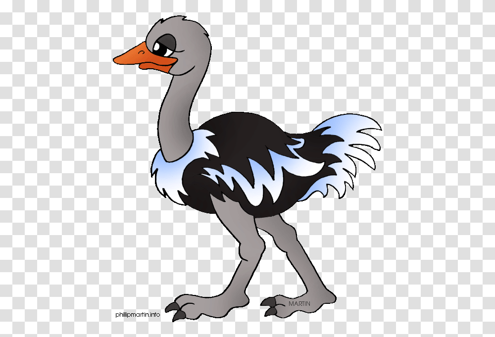 Cartoon Picture Of Ostrich Ostrich Sentence In English, Bird, Animal, Goose Transparent Png