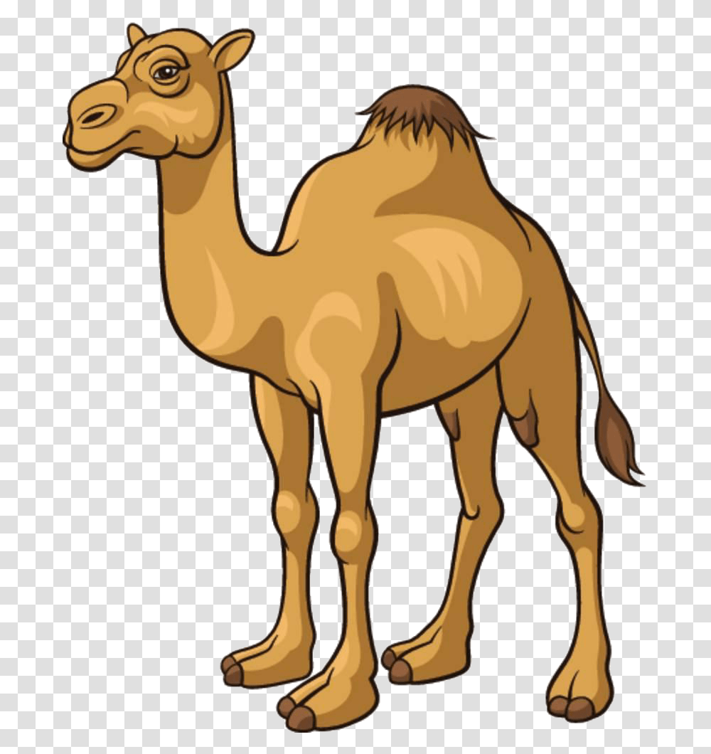 Cartoon Pictures Of A Camel, Mammal, Animal Transparent Png