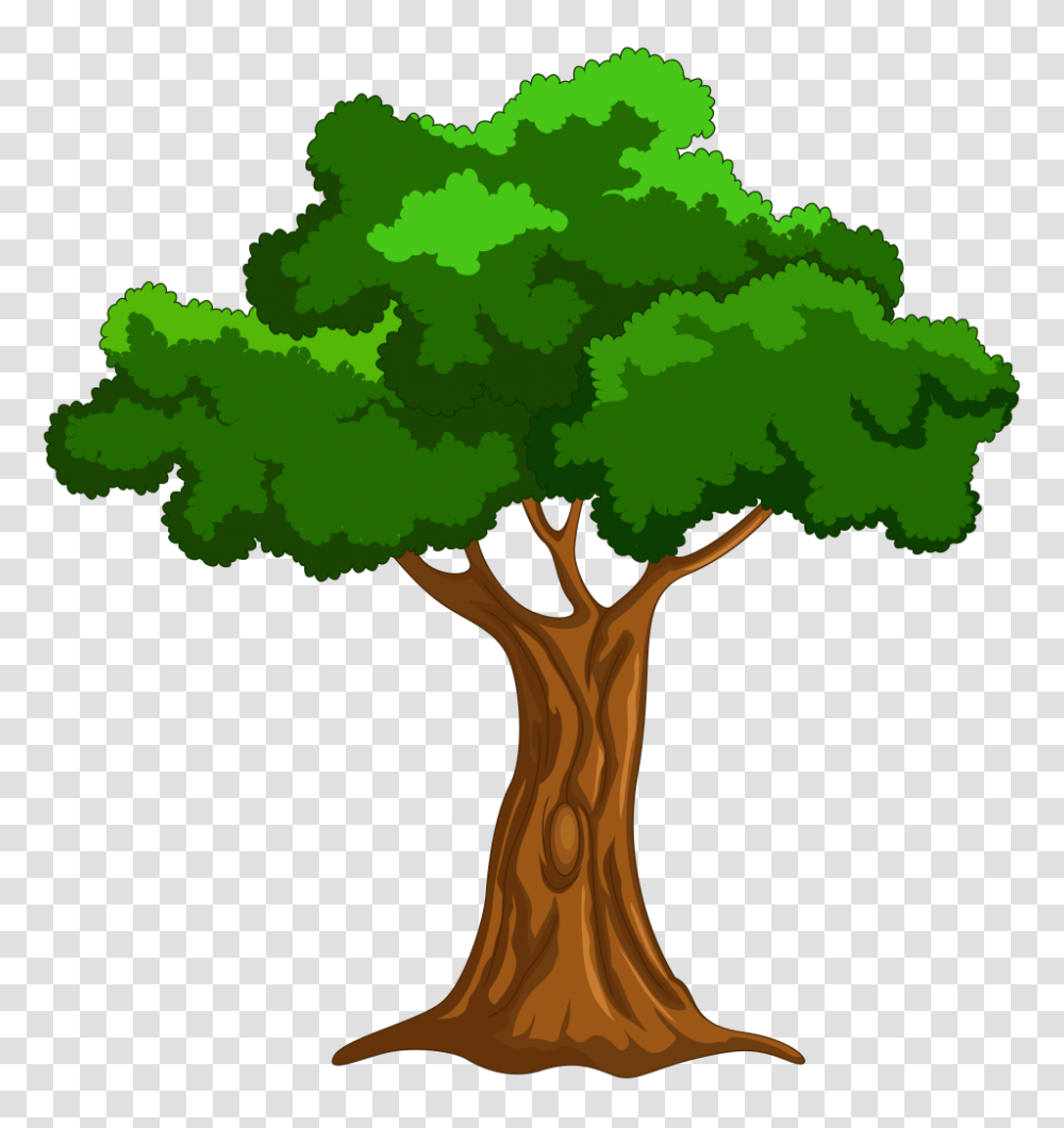 Cartoon Pictures Of A Tree, Plant, Tree Trunk, Oak Transparent Png