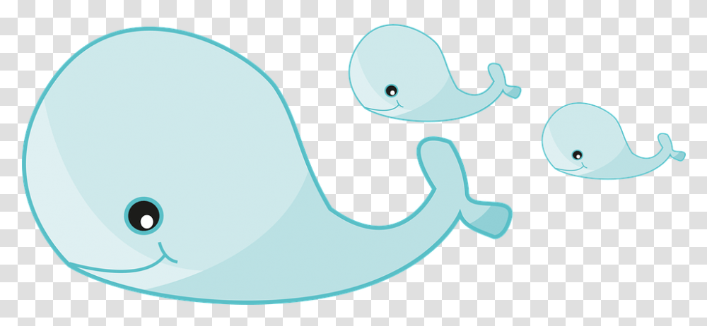 Cartoon Pictures Of Whales Cartoon, Sunglasses, Animal, Sea Life Transparent Png