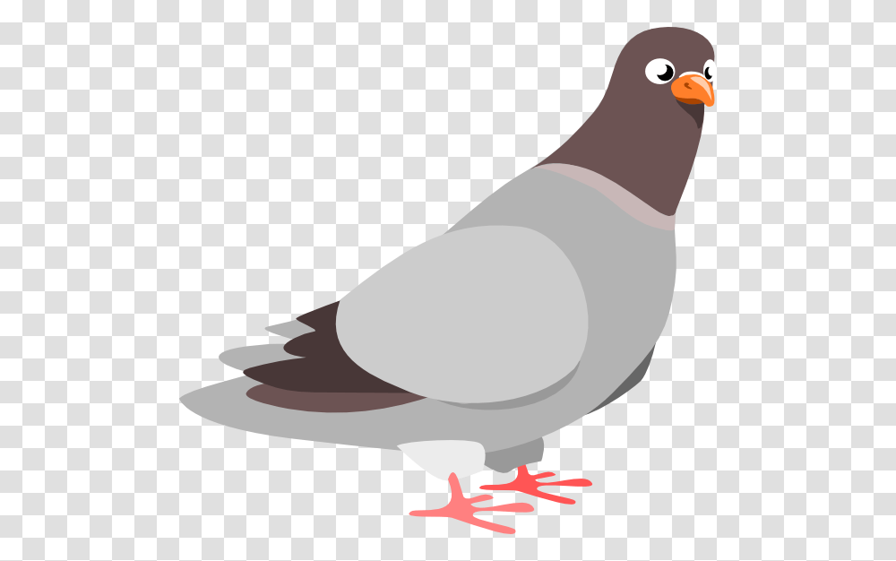 Cartoon Pigeon Venice Cartoon And Clip Art, Bird, Animal, Dove Transparent Png