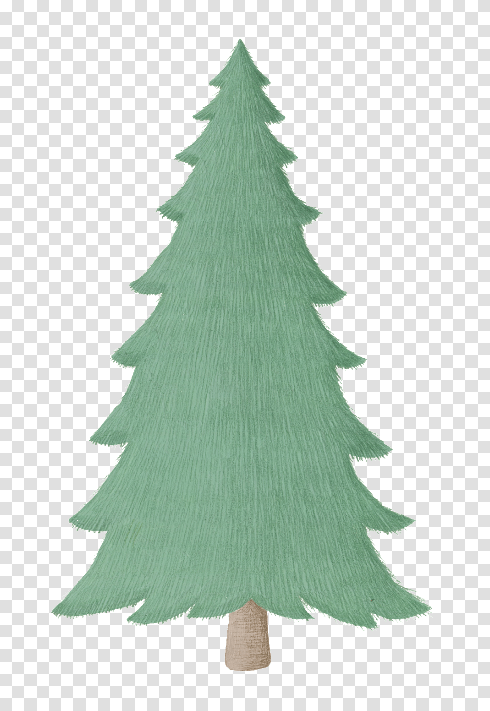 Cartoon Pine Tree Images Free Download Vector, Plant, Christmas Tree, Ornament Transparent Png