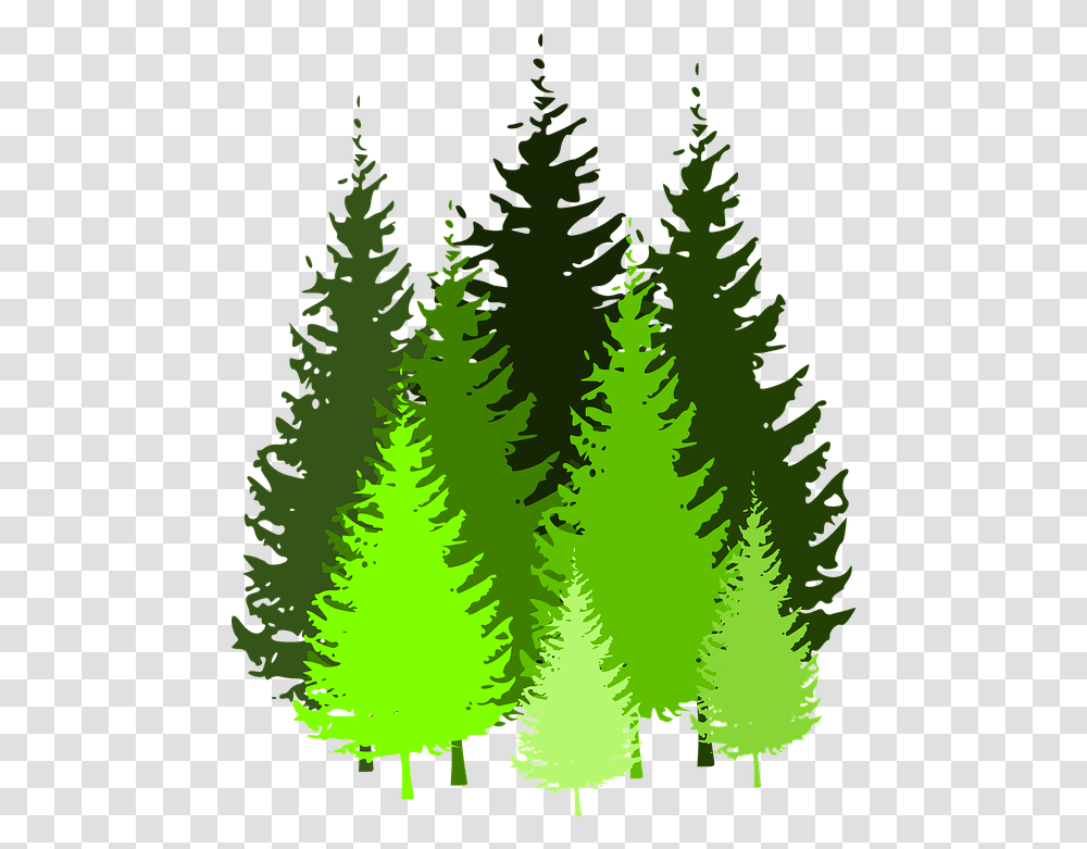 Cartoon Pine Trees 5 Buy Clip Art Pine Tree Silhouette Pine Tree Silhouette, Plant, Fir, Abies, Ornament Transparent Png