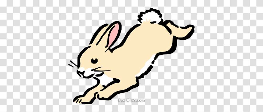 Cartoon Rabbit Royalty Free Vector Clip Art Illustration, Rodent, Mammal, Animal, Hare Transparent Png