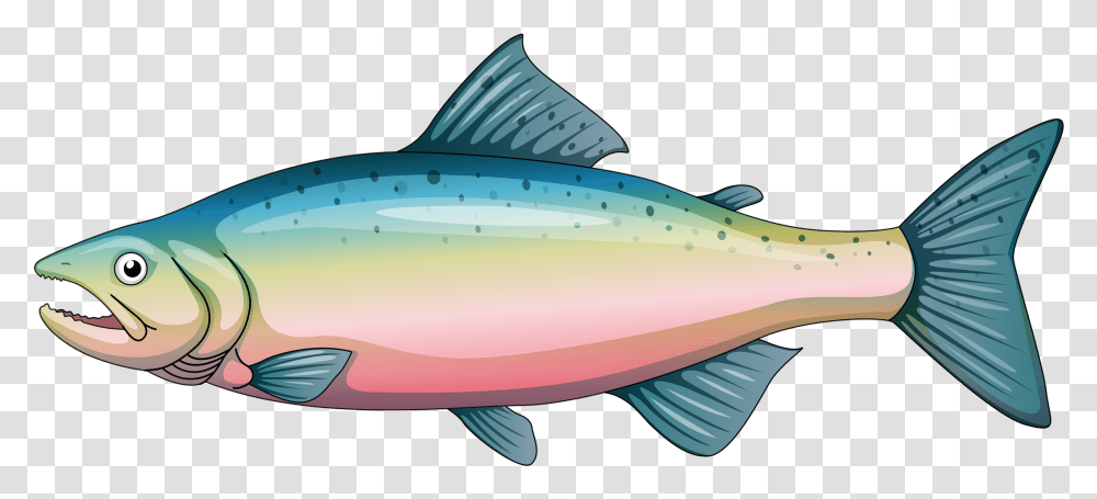 Cartoon Rainbow Trout Clipart Download Clipart Trout, Fish, Animal, Tuna, Sea Life Transparent Png