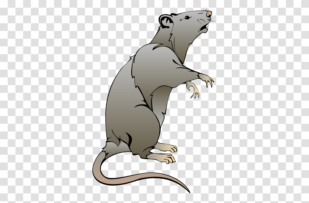 Cartoon Rat Drawings Rat Clip Art Handz, Animal, Mammal, Rodent, Reptile Transparent Png