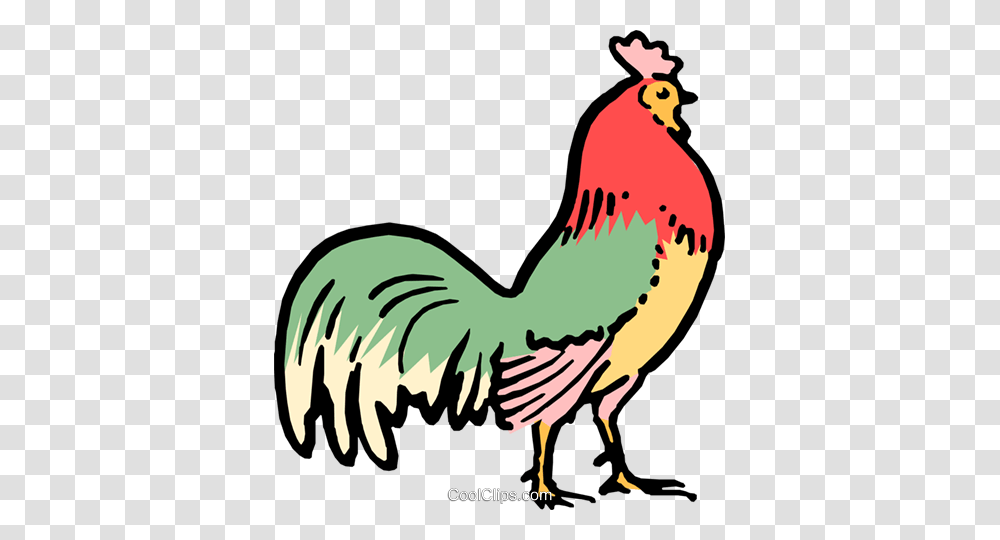 Cartoon Rooster Royalty Free Vector Clip Art Illustration, Animal, Fowl, Bird, Chicken Transparent Png