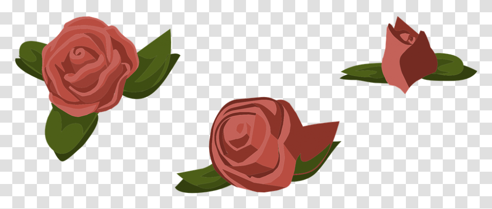Cartoon Rose 16 Buy Clip Art Garden Roses, Plant, Apparel, Flower Transparent Png