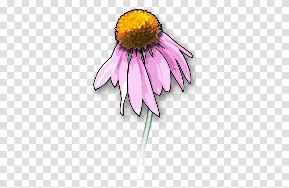 Cartoon Rose Dead Flower Clipart Hd Download Dead Flower Clipart, Plant, Petal, Daisy, Anther Transparent Png