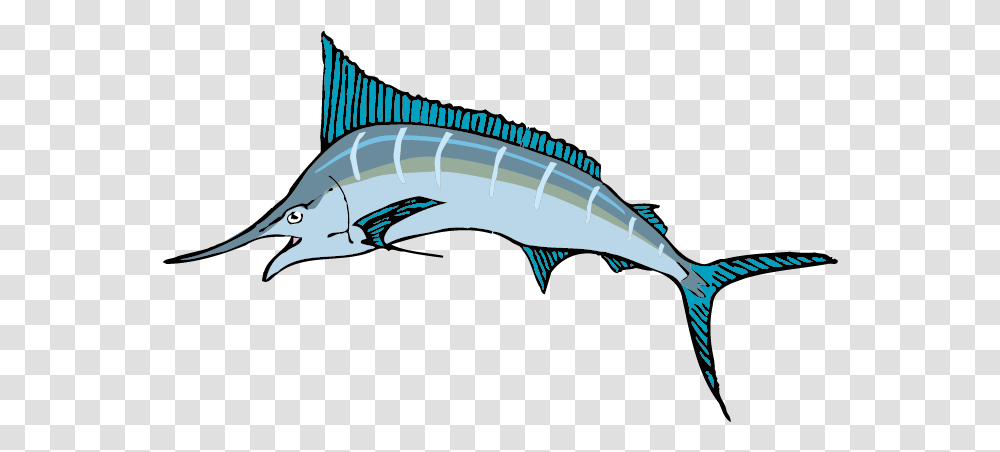 Cartoon Sailfish Sailfish Clipart, Animal, Swordfish, Sea Life, Tuna Transparent Png