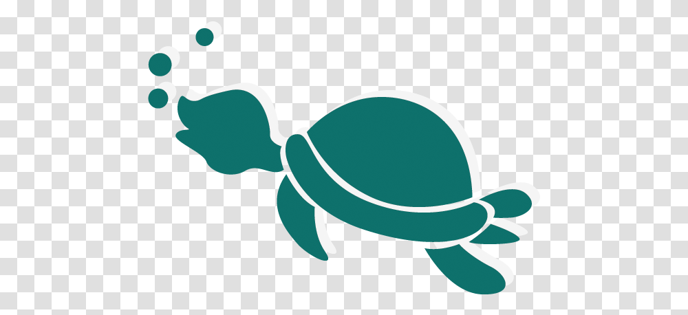 Cartoon Sea Turtle, Animal, Sea Life, Sunglasses, Reptile Transparent Png