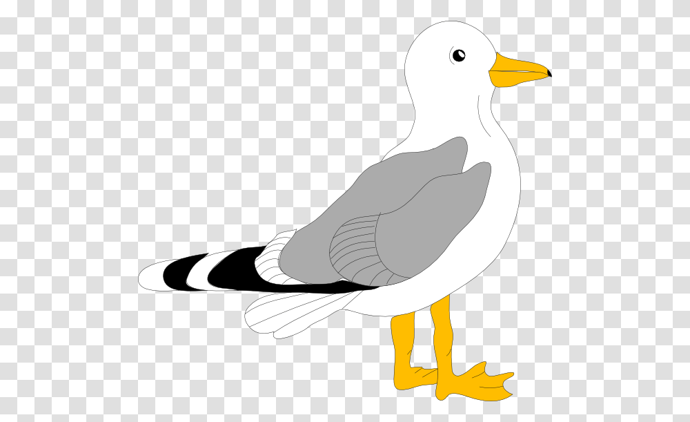 Cartoon Seagull Clip Art, Bird, Animal, Shoe, Footwear Transparent Png