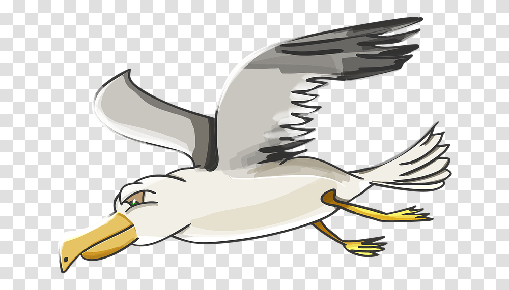 Cartoon Seagull, Waterfowl, Bird, Animal, Flying Transparent Png