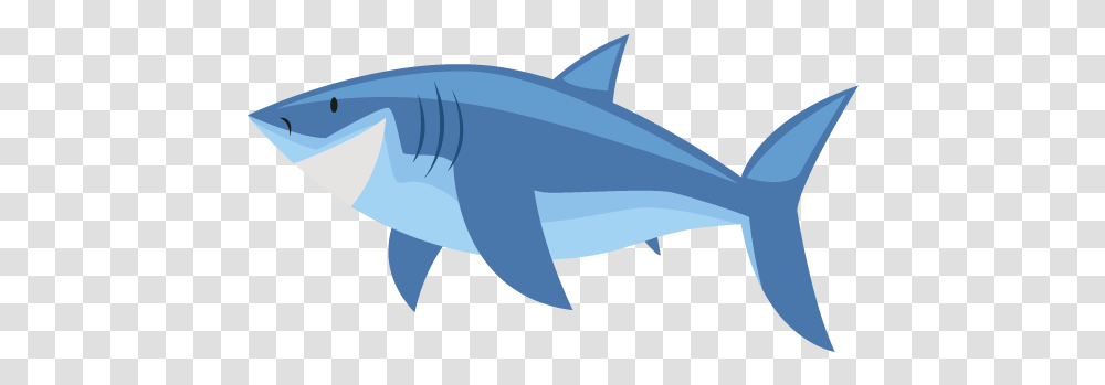 Cartoon Shark Download Cartoon Shark, Sea Life, Fish, Animal, Tuna Transparent Png