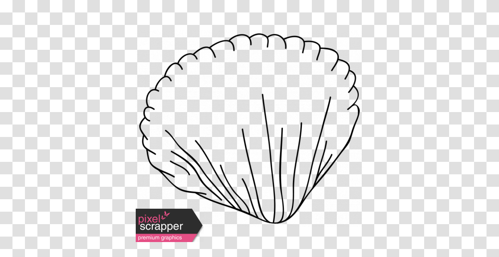 Cartoon Shell Template Graphic, Chandelier, Lamp, Rug Transparent Png