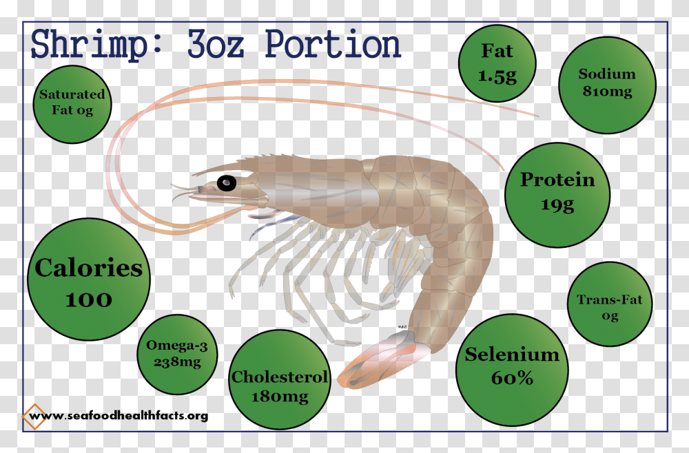Cartoon, Shrimp, Seafood, Sea Life, Animal Transparent Png