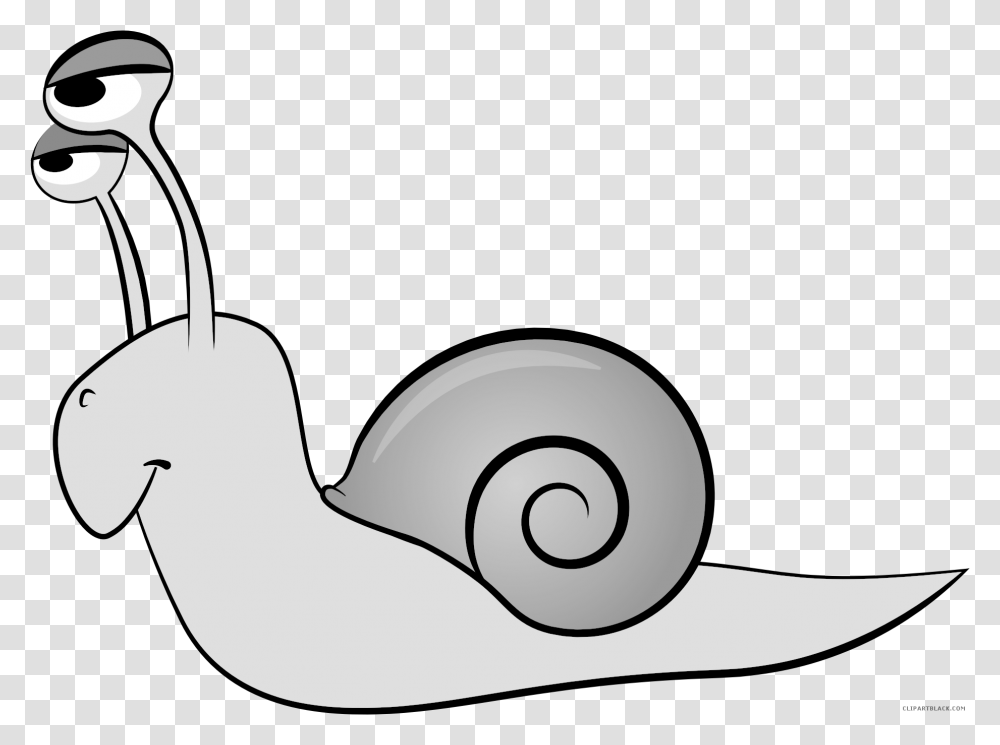 Cartoon Snail Animal Free Black White Animated Snail Transparent Png