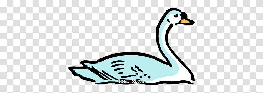 Cartoon Swan Royalty Free Vector Clip Art Illustration, Animal, Bird, Waterfowl, Pelican Transparent Png