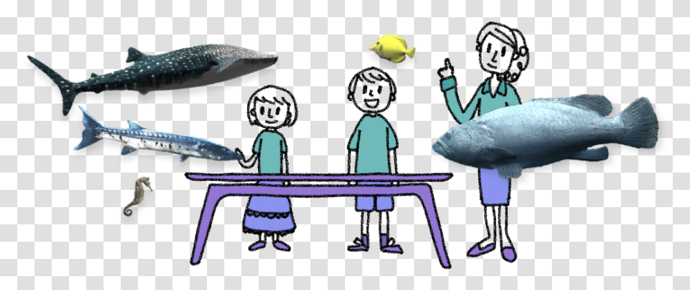 Cartoon Table Cartoon, Fish, Animal, Sea Life, Shark Transparent Png