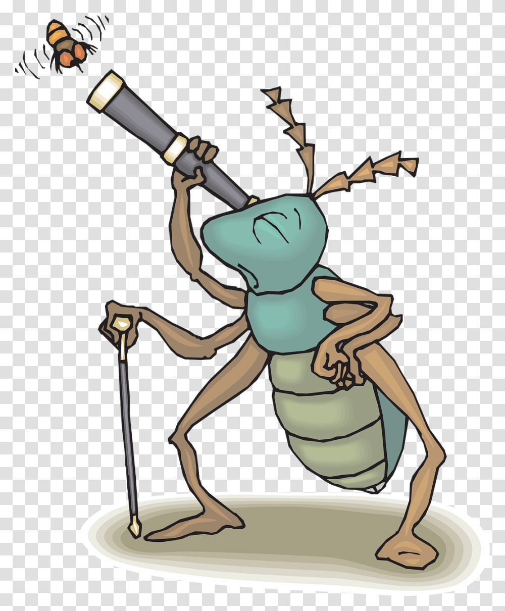 Cartoon Telescope, Insect, Invertebrate, Animal, Cockroach Transparent Png