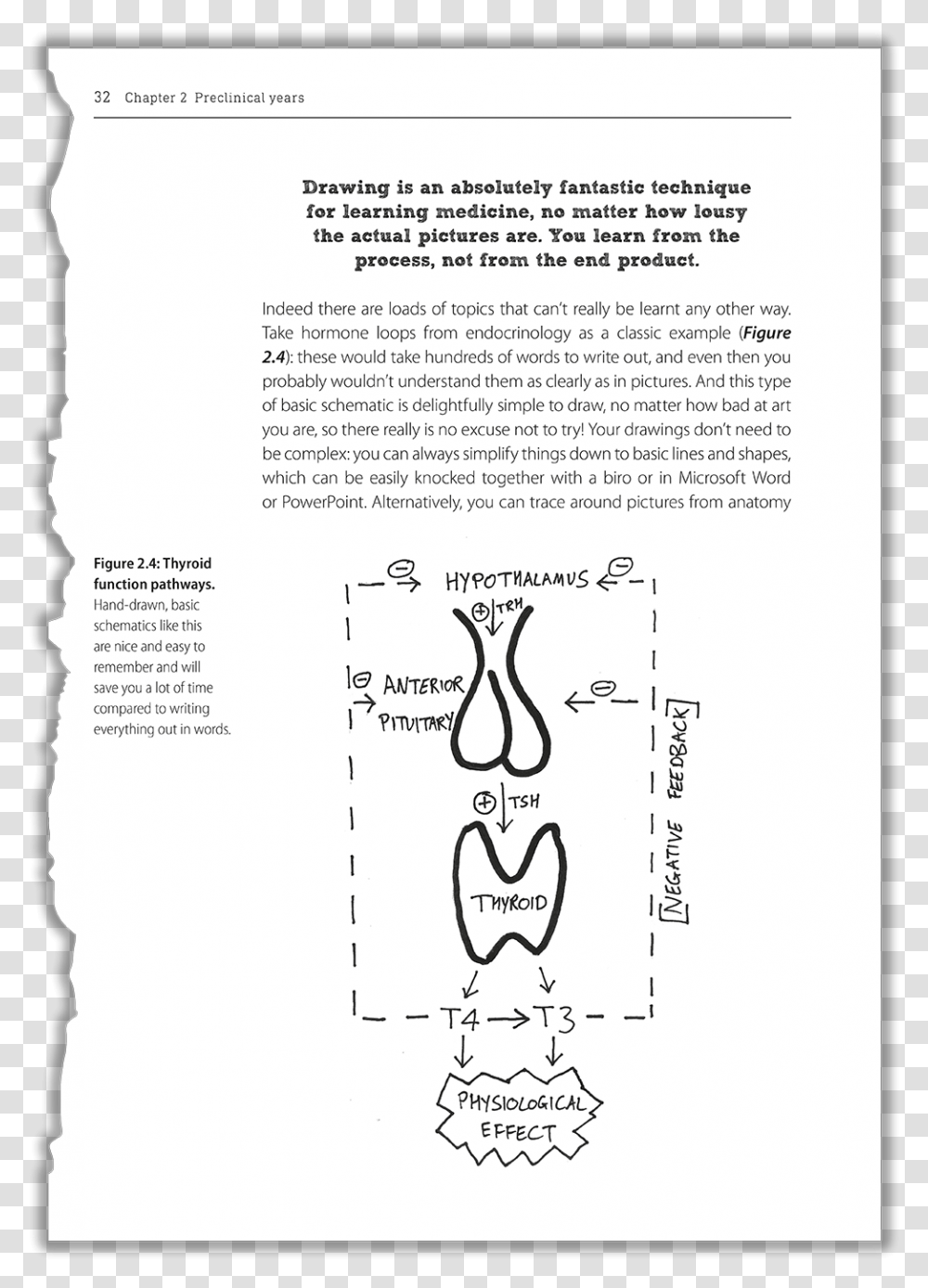 Cartoon, Plot, Diagram, Page Transparent Png