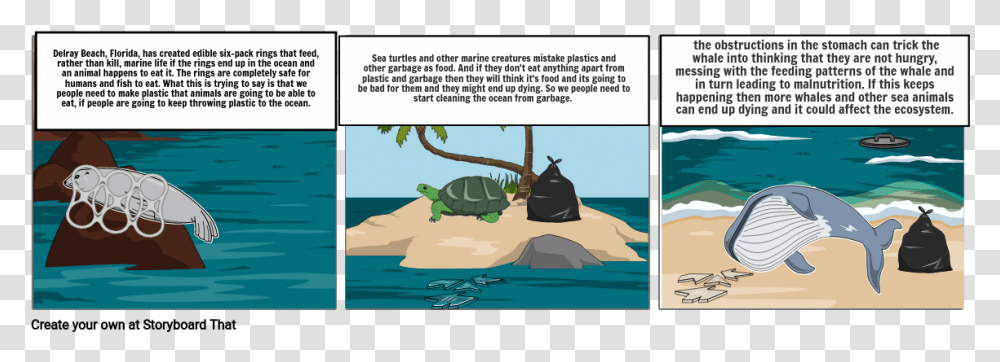 Cartoon, Tortoise, Turtle, Reptile, Sea Life Transparent Png