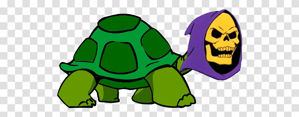 Cartoon Tortoise With Background, Green, Animal, Amphibian, Wildlife Transparent Png