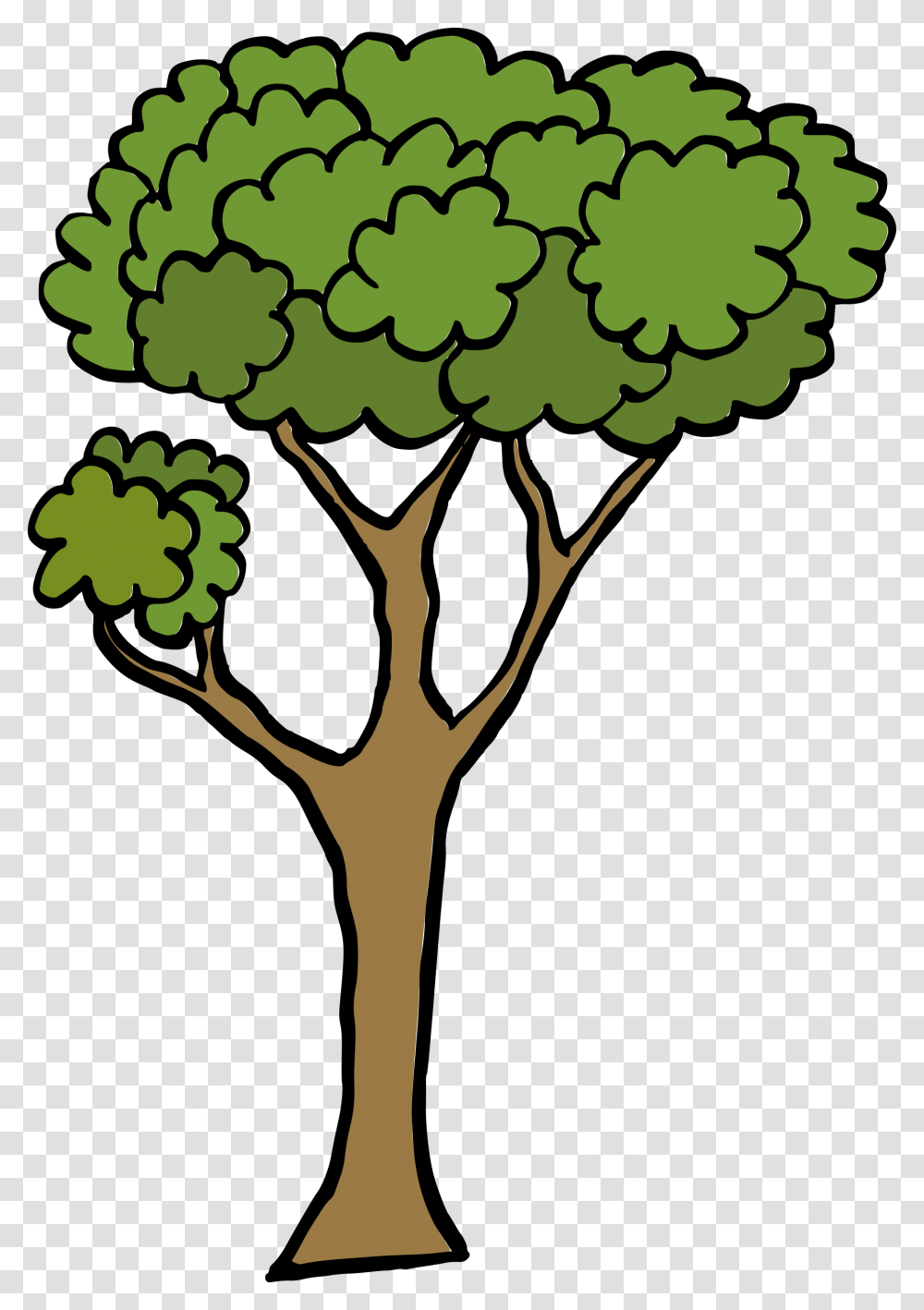 Cartoon Tree 1 Cartoon Tree Background, Plant, Green, Vegetable, Food Transparent Png