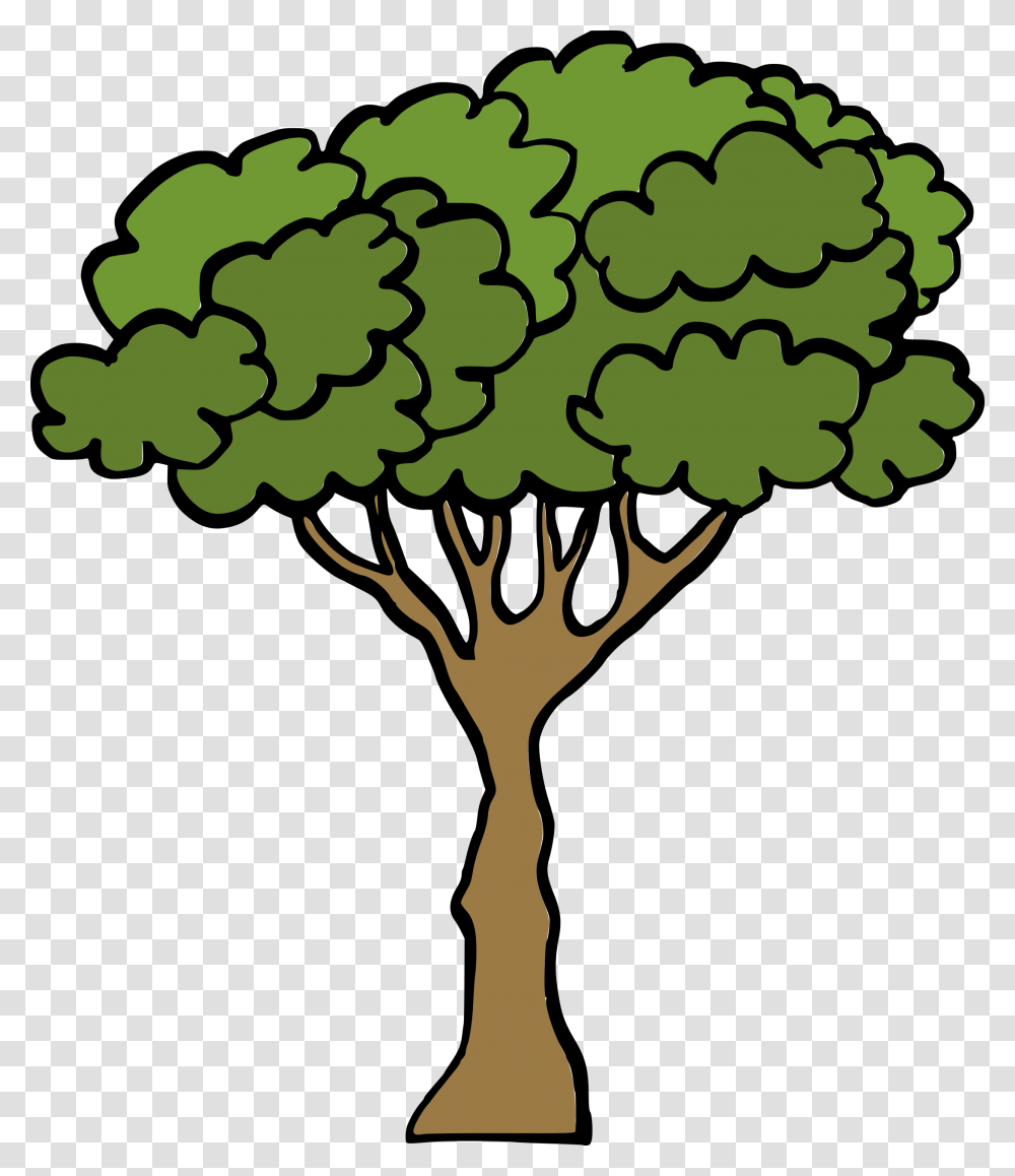 Cartoon Tree 3 Tree Cartoon, Plant, Green, Vegetable Transparent Png
