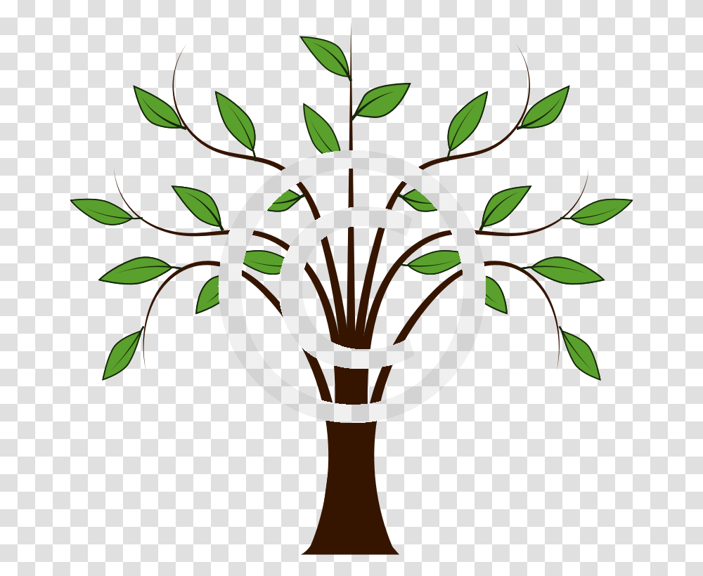 Cartoon Tree Branches, Plant, Logo Transparent Png