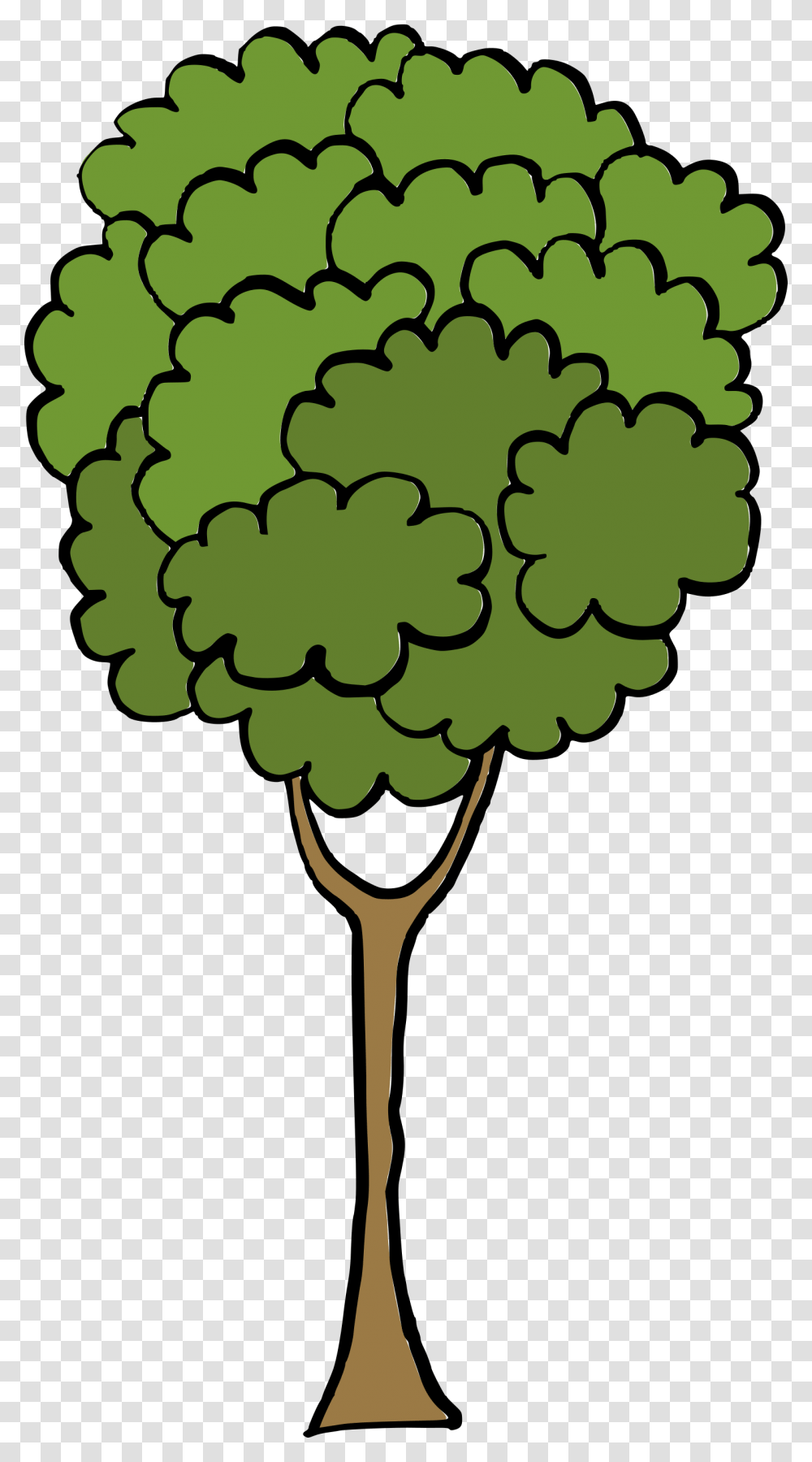 Cartoon Tree, Green, Pattern, Fractal Transparent Png