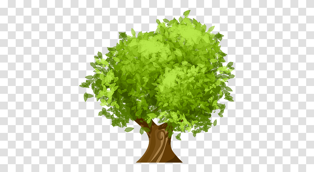 Cartoon Tree Picture 494340 Cartoon Tree Leaves, Plant, Bush, Vegetation, Graphics Transparent Png