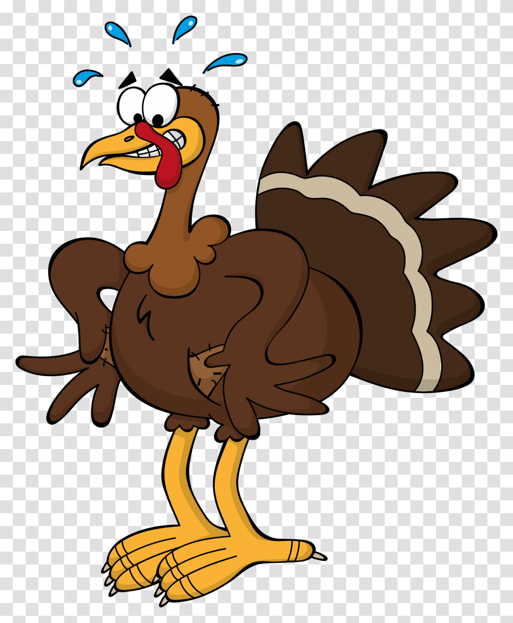 Cartoon Turkey Icons, Bird, Animal, Dodo, Fowl Transparent Png