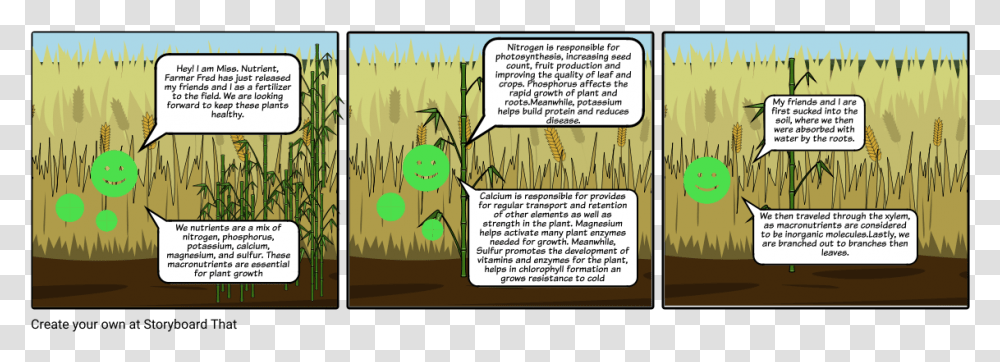 Cartoon, Vegetation, Plant, Outdoors Transparent Png
