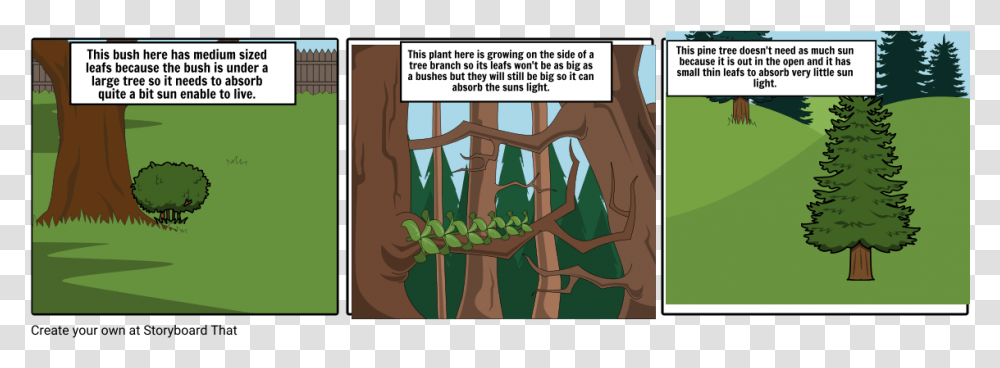 Cartoon, Vegetation, Plant, Tree, Woodland Transparent Png