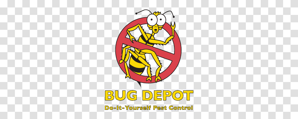 Cartoon, Wasp, Bee, Insect, Invertebrate Transparent Png