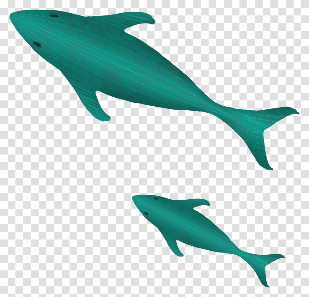 Cartoon Whale Animal Figure, Sea Life, Mammal, Dolphin, Bird Transparent Png
